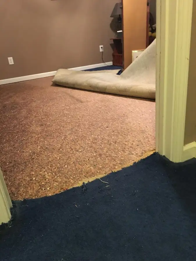 Carpet pad removal revealing water damage during Drying & Dehumidification in Thompson