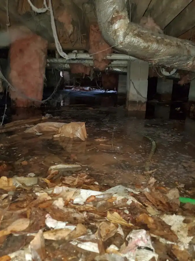 Crawl space flood assessment for Leak Detection & Repair in Thompson